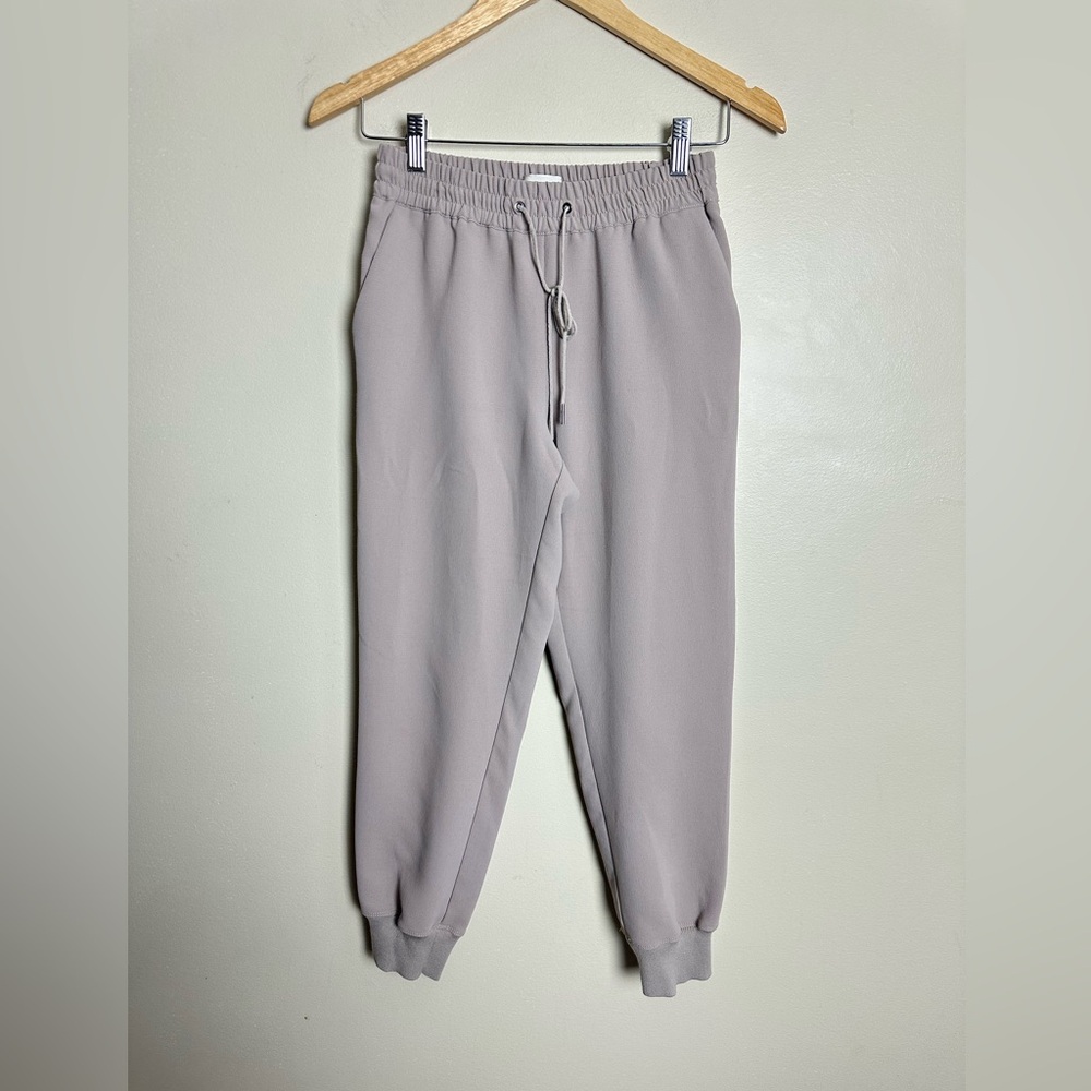 Wilfred Size XS  Gray Pants